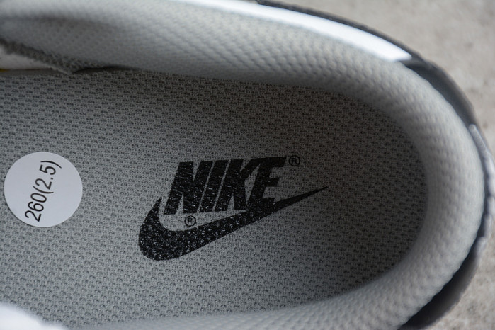 NIKE DUNK LOW “LIGHT SMOKE GREY” DD1503-117