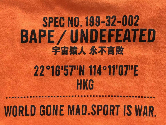 BAPE T-SHIRT BP-48
